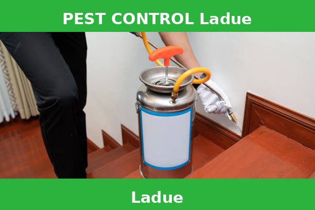 PEST CONTROL Ladue